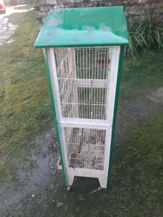 Jaula para pájaros verde y blanca