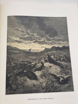 Fábulas La Fontaine Doré ilustrado 2 tomos estuche