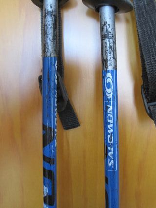 bastones  carbono Salomon
