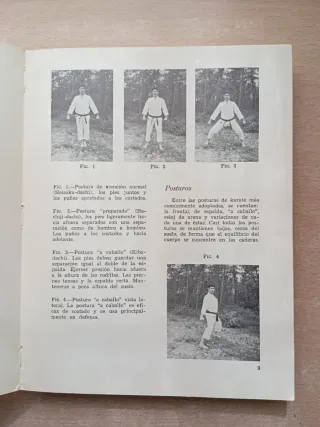 Karate. Un camino hacia el poder. Kozuki.