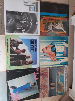 Lote de Vinilos