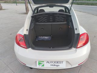 VOLKSWAGEN BEETLE 1.6 TDI 105 CV IMPECABLE