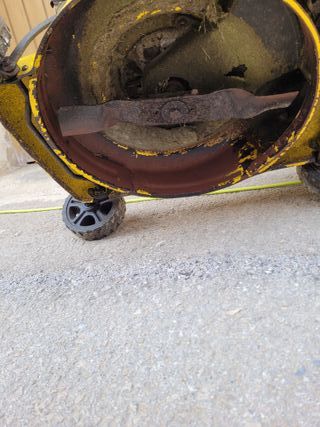 Cortacésped Gasolina Amarillo