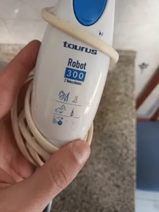 Batidora Taurus Robot 300