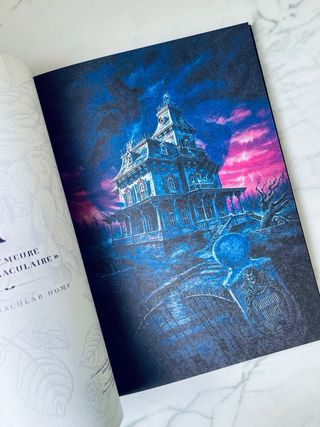 Libri Disney Haunted Mansion e Phantom Manor