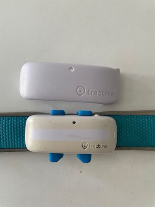 Tractive GPS para perros + collar