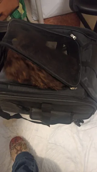 Transportín para mascotas con ruedas