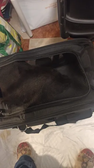 Transportín para mascotas con ruedas