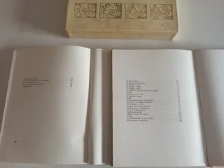 Biblia Juvenil