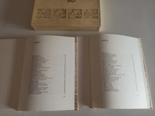 Biblia Juvenil