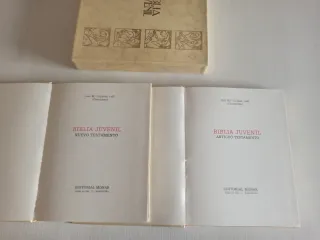 Biblia Juvenil