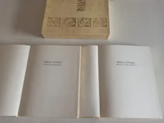 Biblia Juvenil