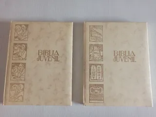 Biblia Juvenil