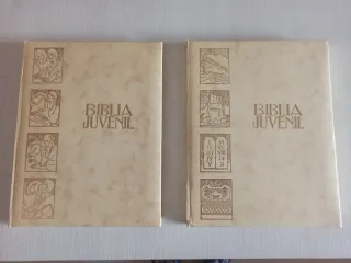 Biblia Juvenil
