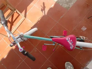 Bicicleta infantil azul y rosa