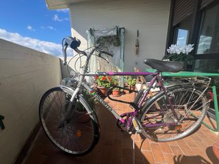 Bicicletta Viscontea cambio Shimano