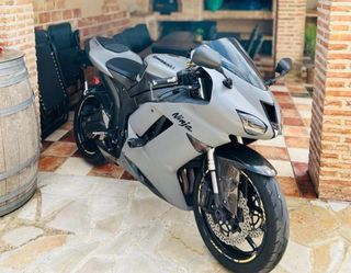 Kawasaki Ninja 636 Sportbike Gris