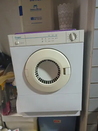 Secadora Aspes SA 113 pequeña