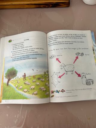 Erase una vez... El país de las letras 4