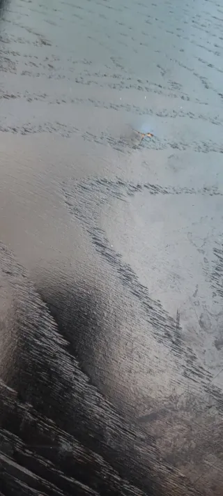 Mesa de comedor con 4 sillas bjursta ikea