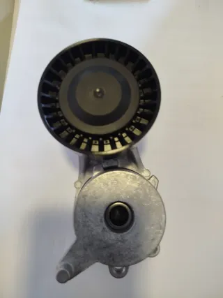 Esticador da Correia Schaeffler INA