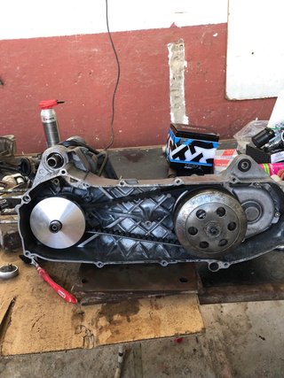 Jog rr nueva