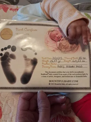 Bebé Reborn artesanal Carol con Certificado