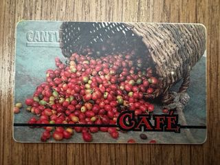 Collezione di Carte Telefoniche CANTV