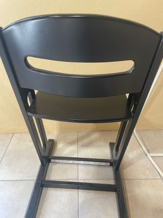 Trona evolutiva negra