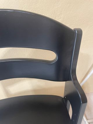 Trona evolutiva negra