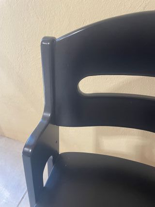 Trona evolutiva negra