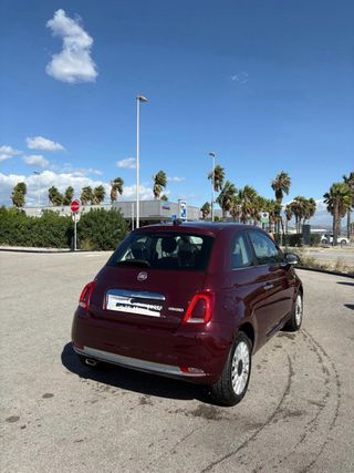 FIAT 500 2021