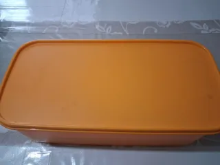 Contenitore Tupperware Salva Freschezza