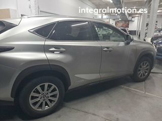 Lexus NX 2.5 300h Business 2WD