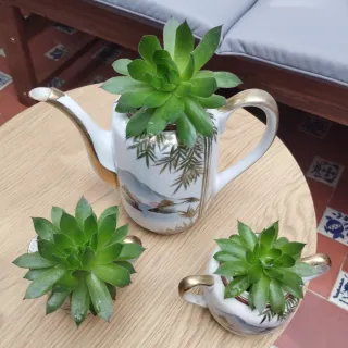 Juego de té decorativo con plantas