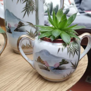 Juego de té decorativo con plantas