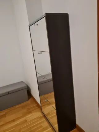 Zapatero Leroy Merlin Espejo y Marrón