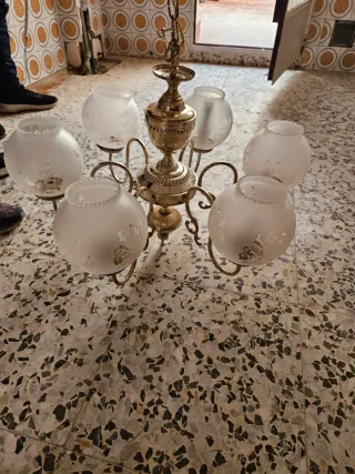 Tulipas globo de cristal