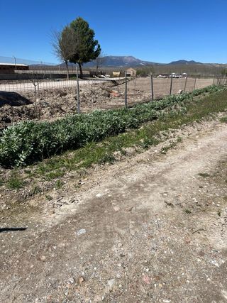 Finca de 24 marjales con nave