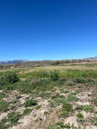 Finca de 24 marjales con nave