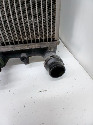 RADIADOR AGUA SEAT IBIZA (6L1) 738607