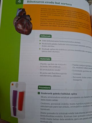 Biologia Eta Geologia, 3 Dbh