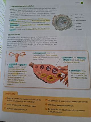 Biologia Eta Geologia, 3 Dbh