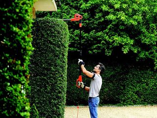 Cortasetos Pértiga BLACK+DECKER PH5551 550W