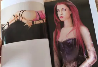 ART FANTASTIX 10 THE ART OF SHIN MG PUBLISHING