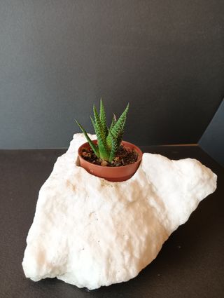 Maceta de alabastro decorativa