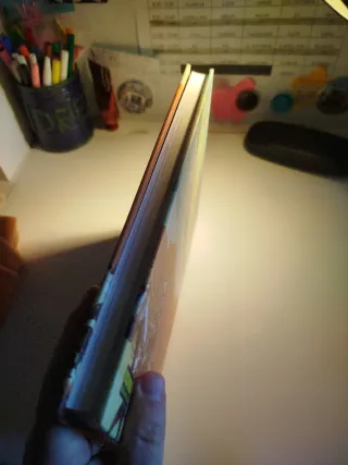 HURACAN SOBRE NUEVO MEXICO