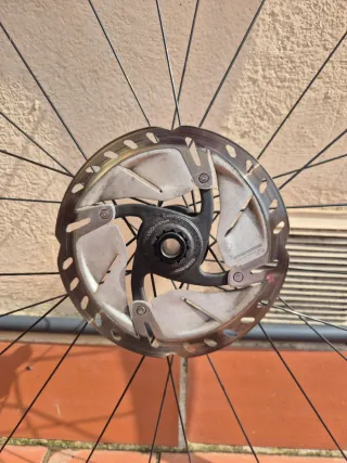Ruedas Bontrager Paradigm Comp TLR Disc