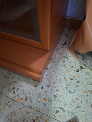 Vitrina de madera y cristal