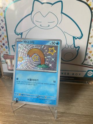Wiglett Shiny